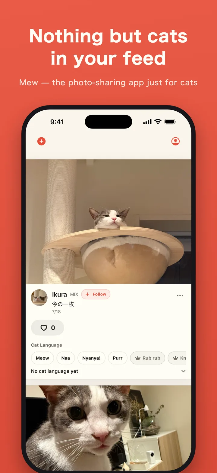 Mew feed screen