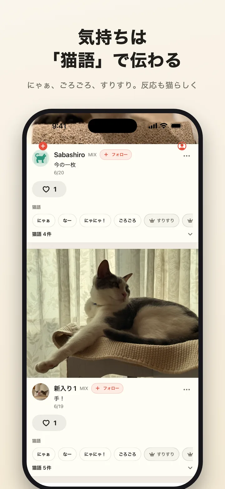 猫語リアクションの画面